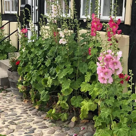 Stubbekøbingrooms Lejlighed *